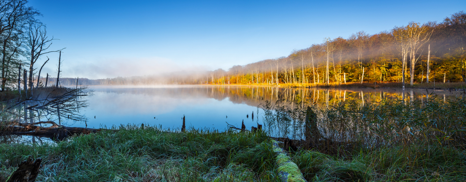 Bild zeigt einen See in der Mecklenburgischen Seenplatte